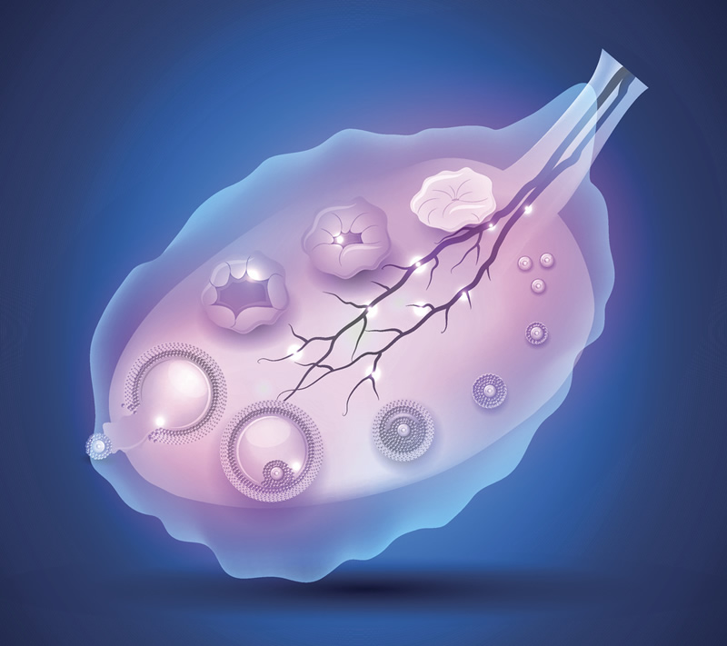 江西能做试管的医院(江西可以做试管婴儿的医院)